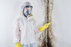 Best Biohazard Mold Removal  in Oak Grove, LA